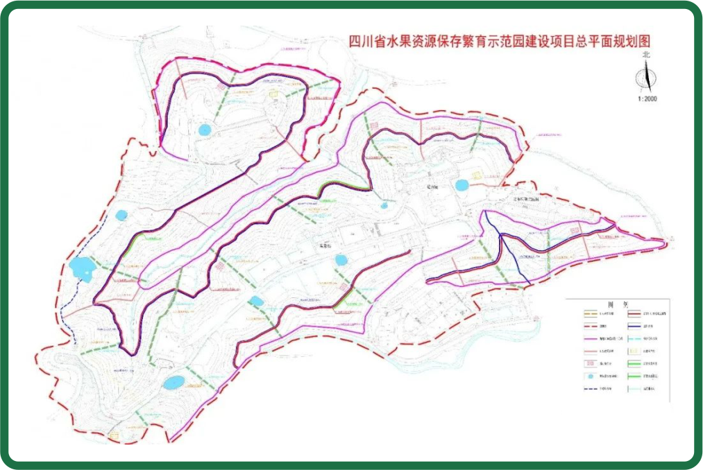 1.四川省果繁站现代农业项目实验计划及起源设计.png